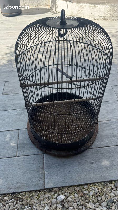 Cage oiseaux (image 2)