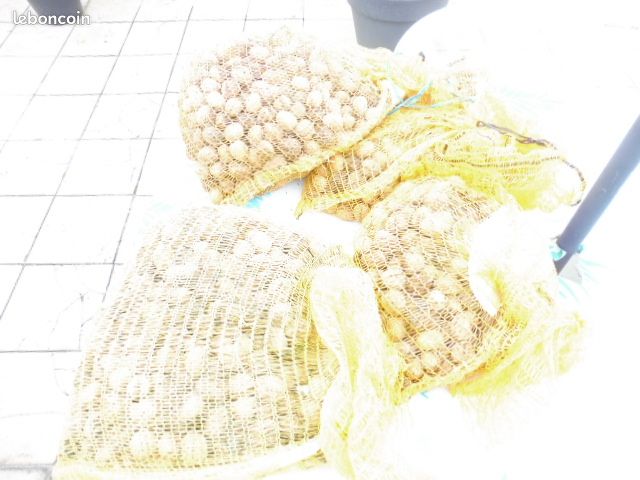 NOIX fraiches (image 2)