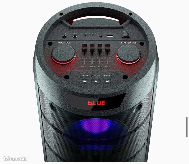 Enceinte R-MUSIC +2 micros (image 1)