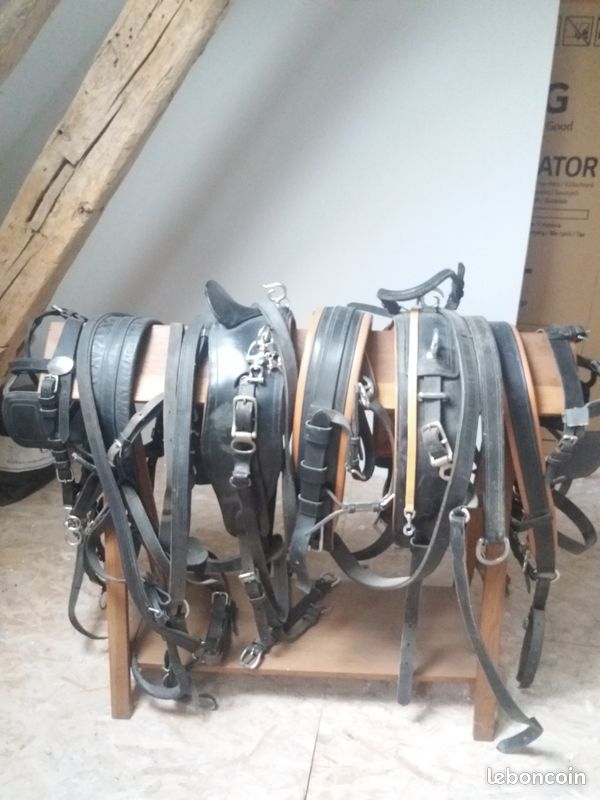 Harnachement pour chevaux (image 1)