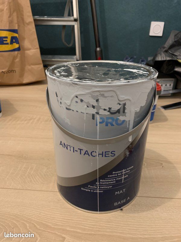 Vends 2,5-3 L de peinture Vaspar pro mat (image 2)