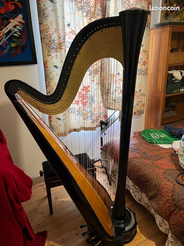 Harpe de concert Salvi Aurora 47 cordes (image 3)