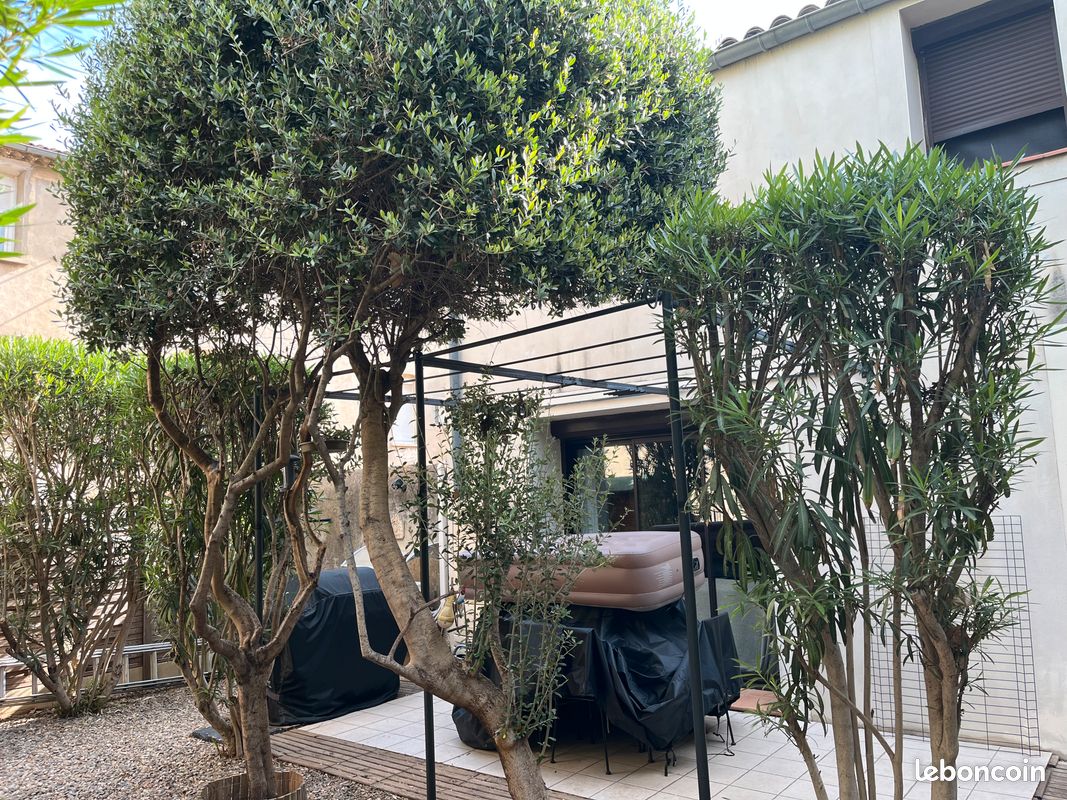 Appartement 5 pièces 120 m² · à Narbonne · 120 m² · 940 €/mois