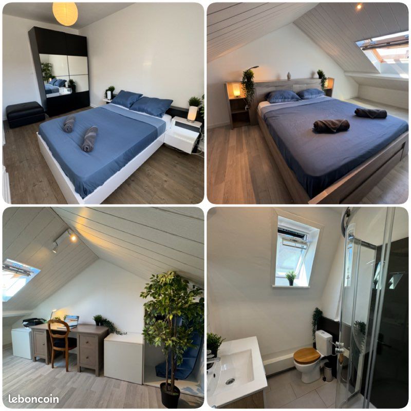 F3 meublé 75m2 quartier Nordfeld / printemps (image 2)