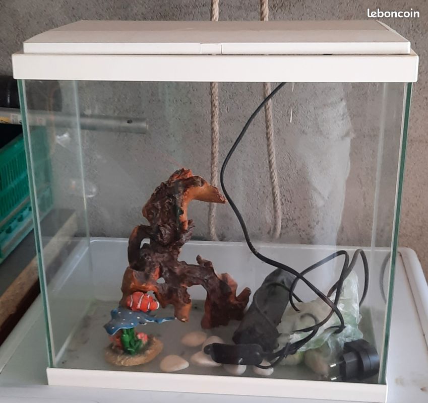 Aquarium (image 1)