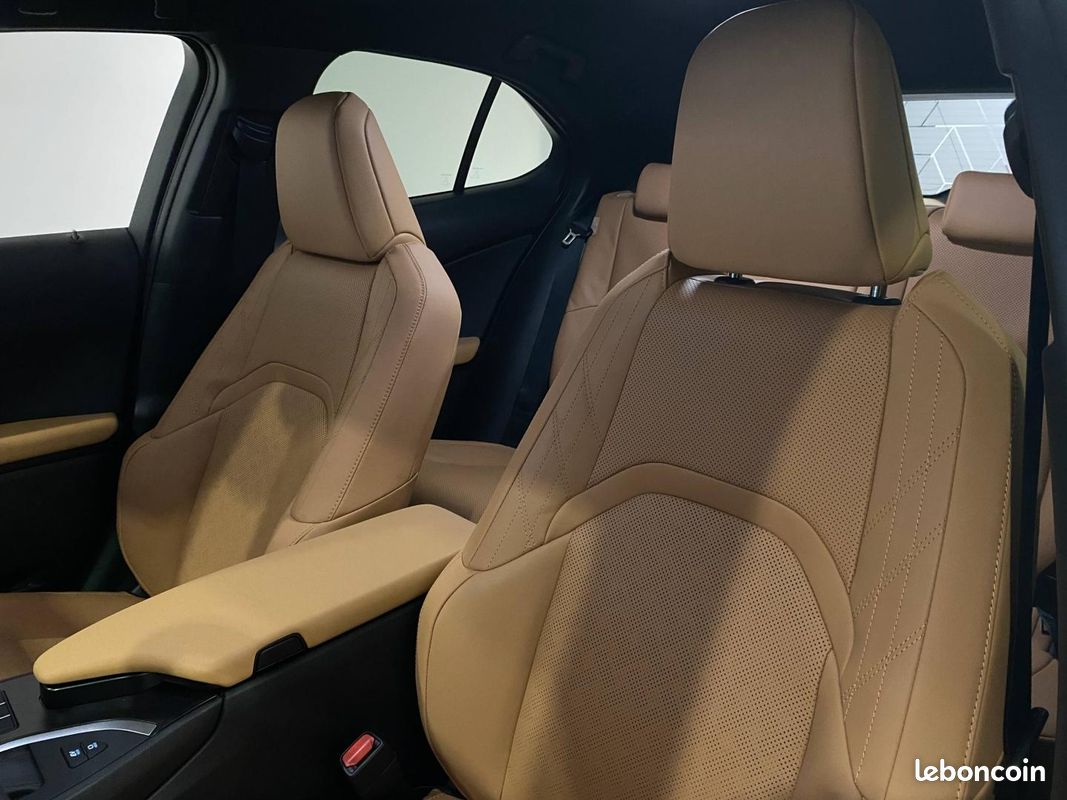 Lexus UX 250h Luxe 2WD (image 6)