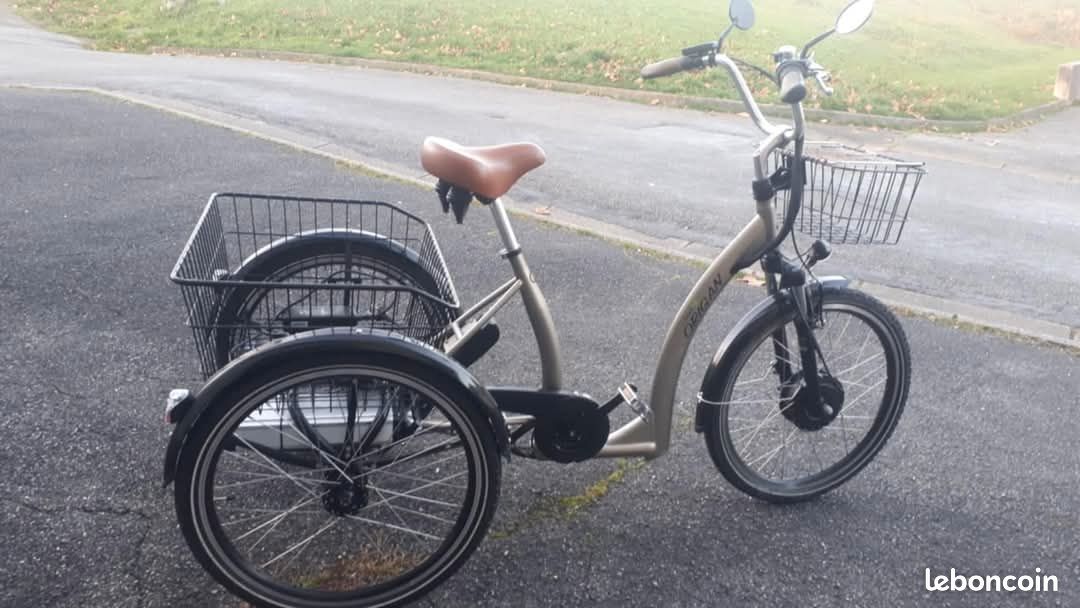 Triporteur électrique (image 1)