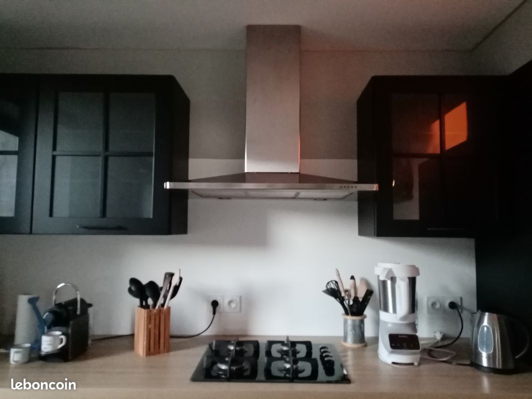 Hotte Arthur Martin Electrolux (image 1)