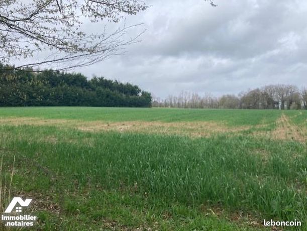 Terrain 7000 m² GUER