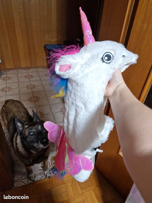 Perruque rose de licorne avec oreilles et corne