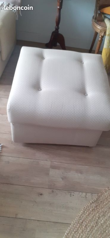Pouf pour salon (image 1)