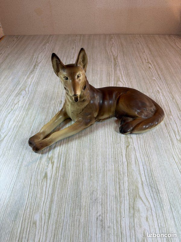 Chiot - Elevage De - eleveur de chiens Lévrier afghan
