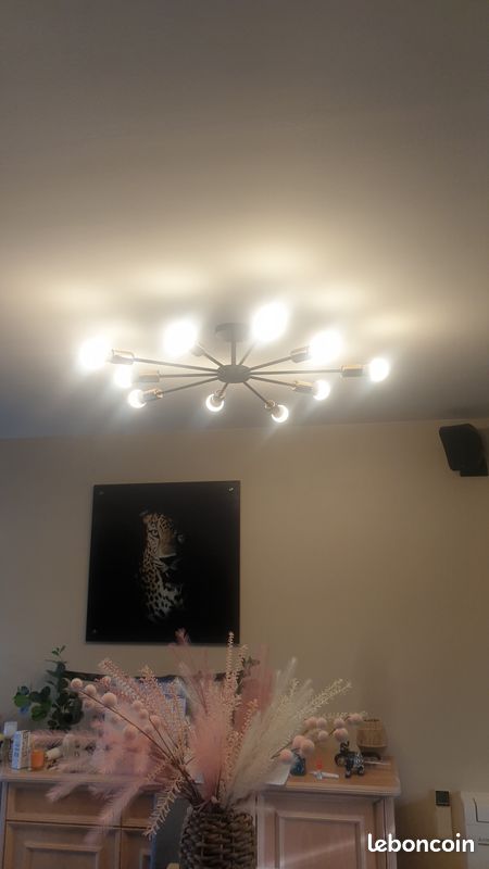 Lustre (image 2)