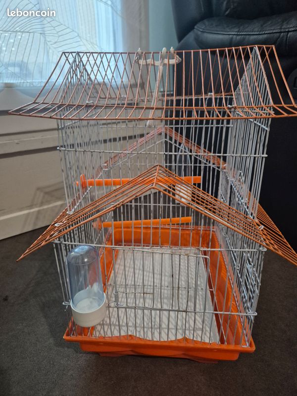 Grande Cage oiseaux Orange et blanche avec perchoirs (image 1)
