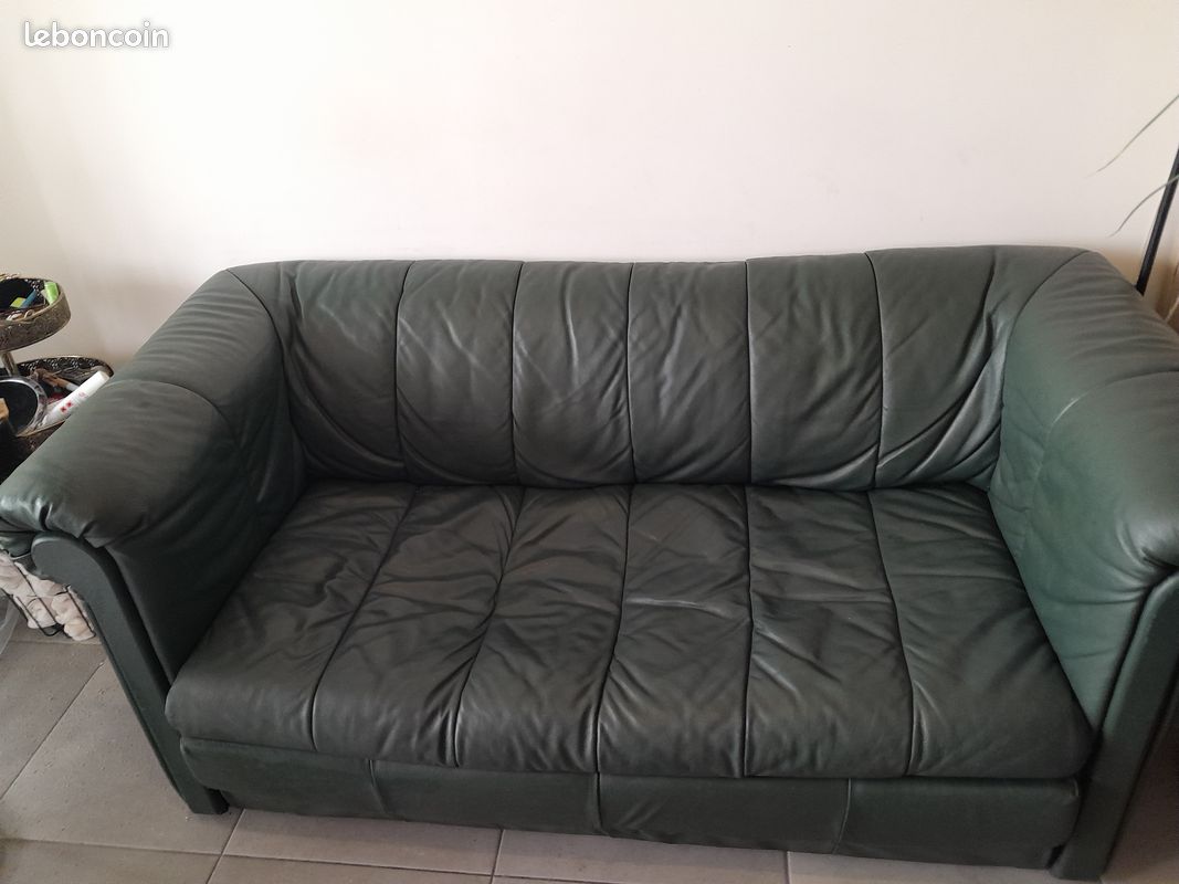 Superbe canapé cuir vert foncé (image 4)