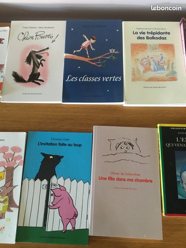Romans Livres niveau CM1 (image 4)