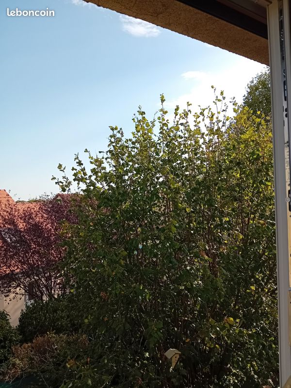 Appartement 2 pièces 18 m² · à Dijon · 18 m² · 360 €