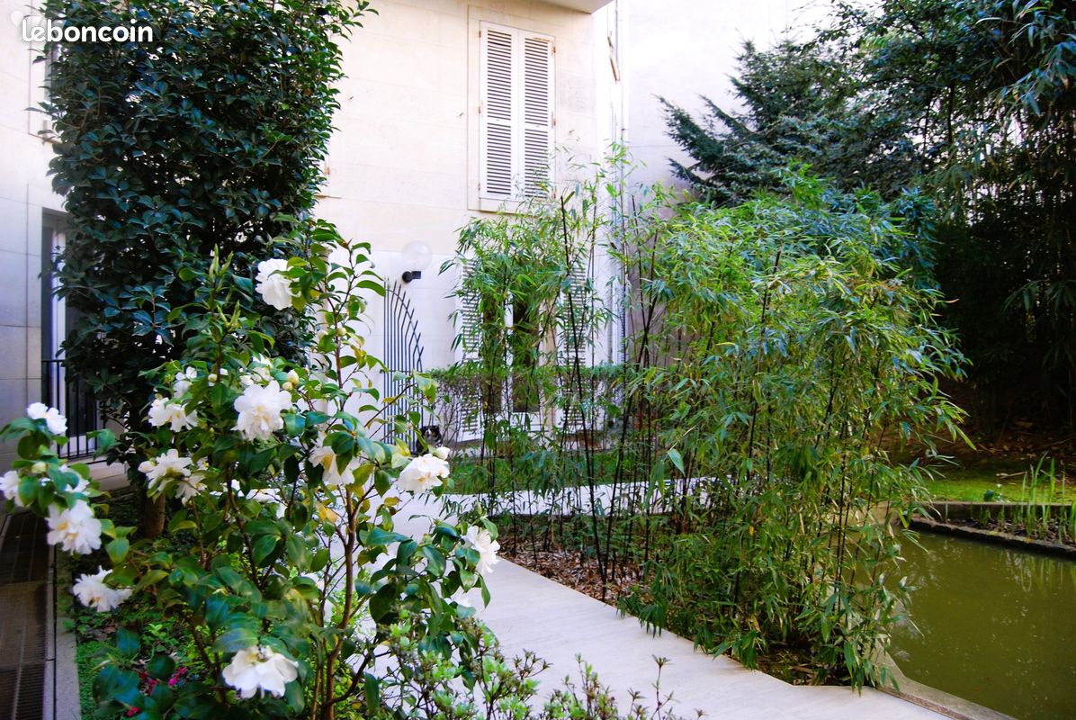 Studio 1 pièce 23 m² (image 2)