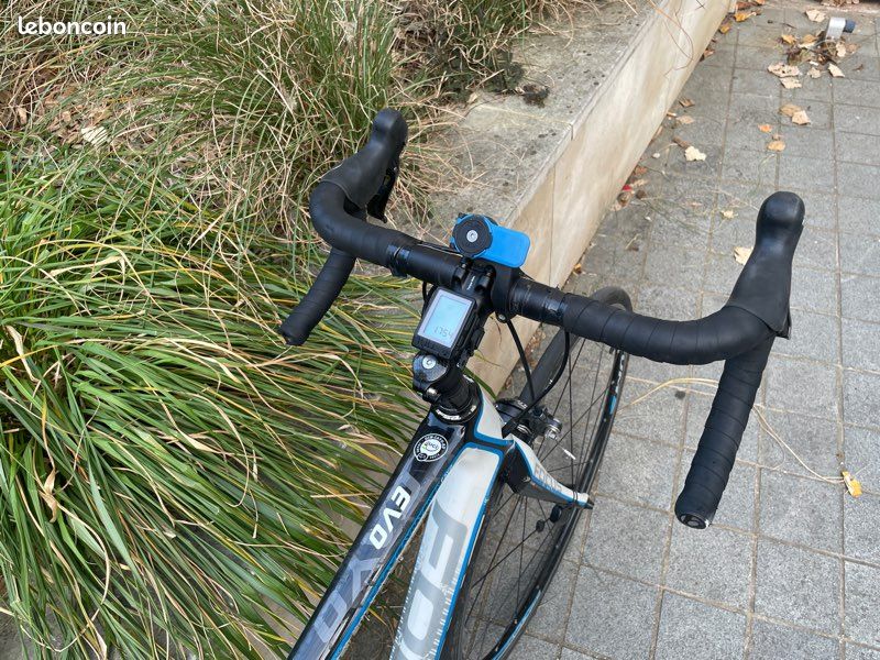 Vélo de route carbone - Focus Cayo evo (image 5)