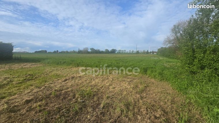 Terrain 4 397 m² Nachamps