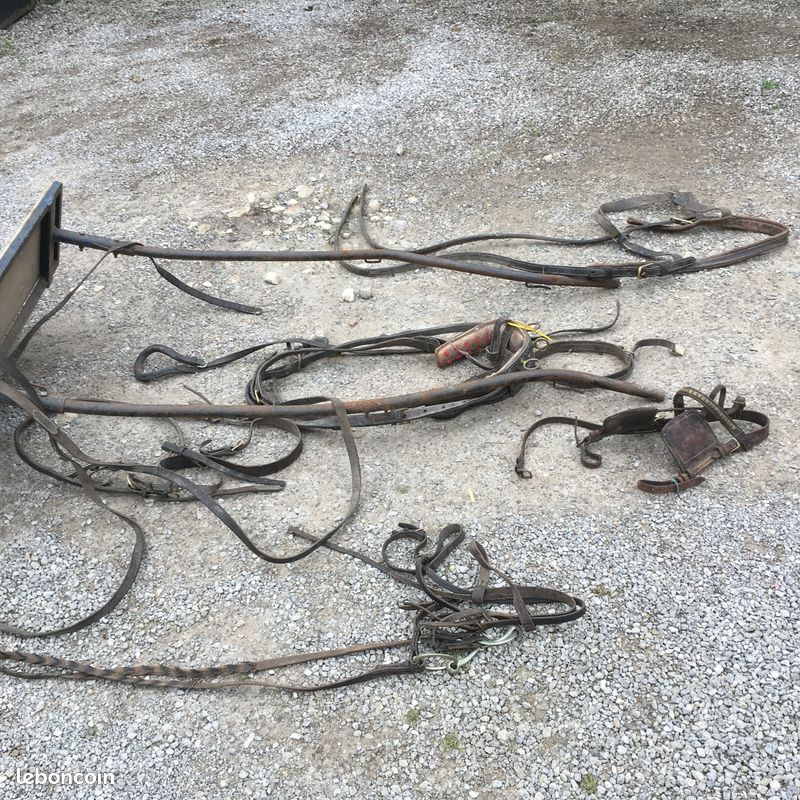 Charette pour poney/âne avec harnais (image 4)