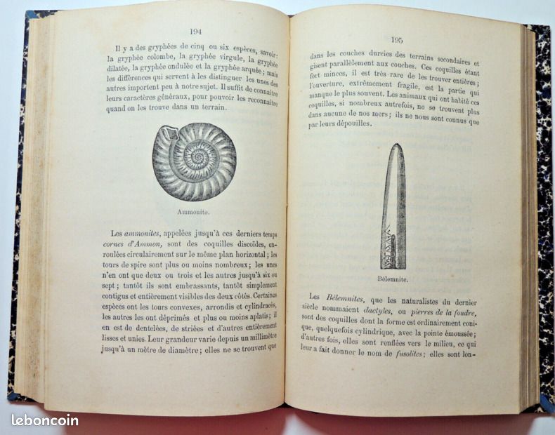 Sourcier. Abbé Paramelle. L'Art de découvrir les sources. 1886 (image 9)