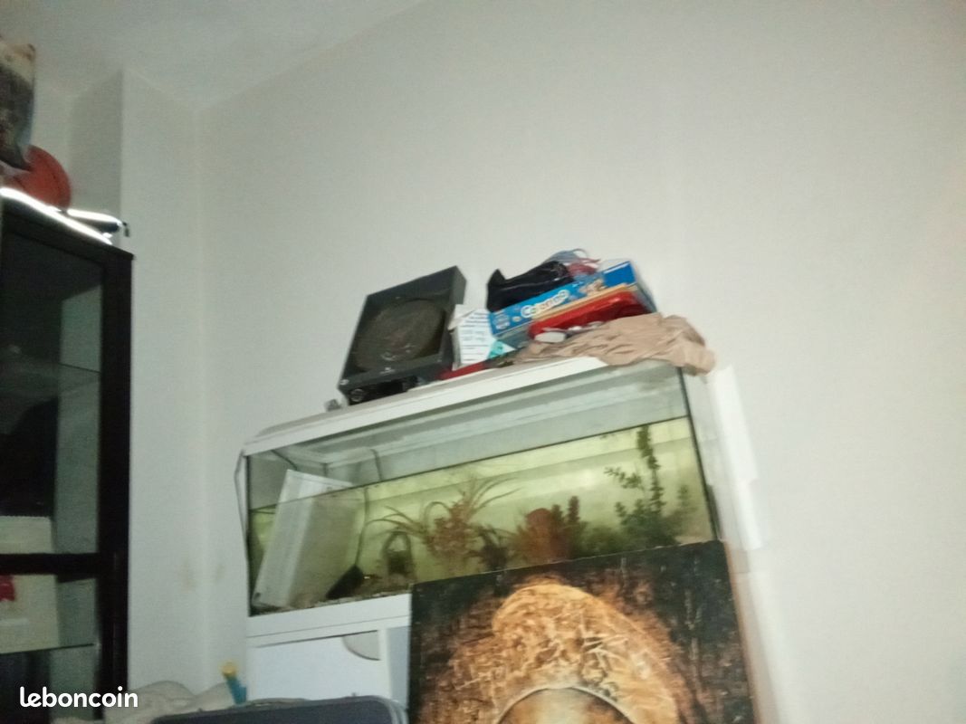 Aquarium (image 1)