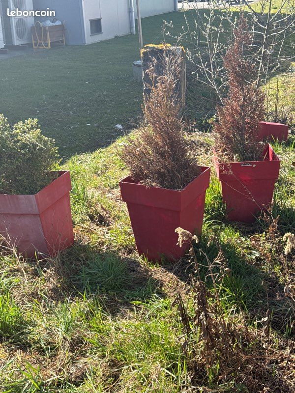 Bacs / pots de plantation rouges (lot ou à l’unité) (image 2)