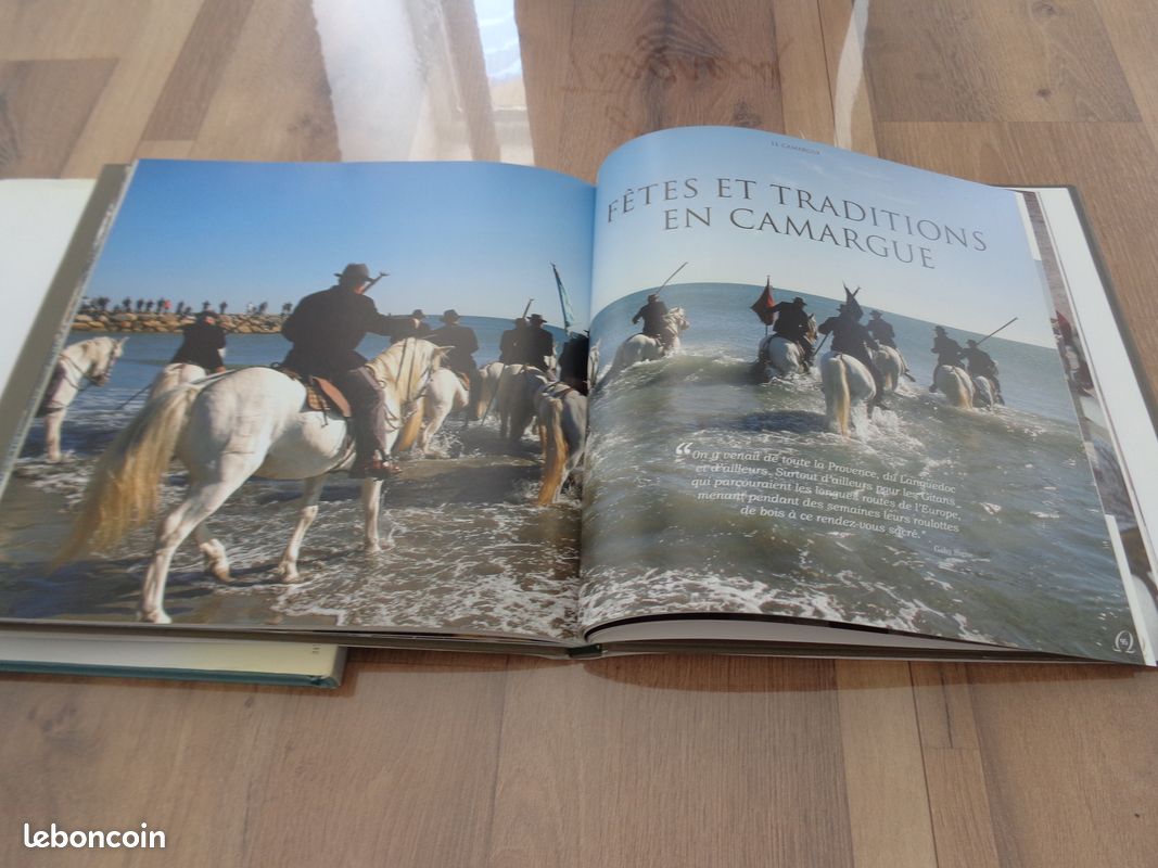 2 Livres : les chevaux d'exception (image 5)