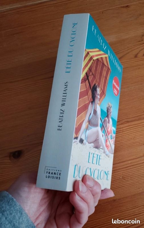 Roman L'été du cyclone (image 3)