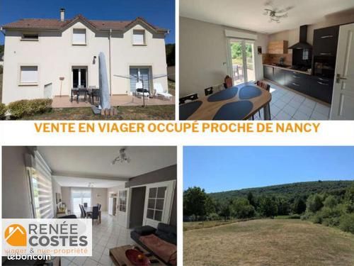 Maison 5 pièces 133 m² · à Nancy · 133 m² · 61 750 €