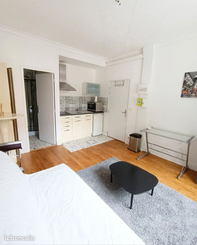 Studio meublé - Limoges 87000 (image principale 0)