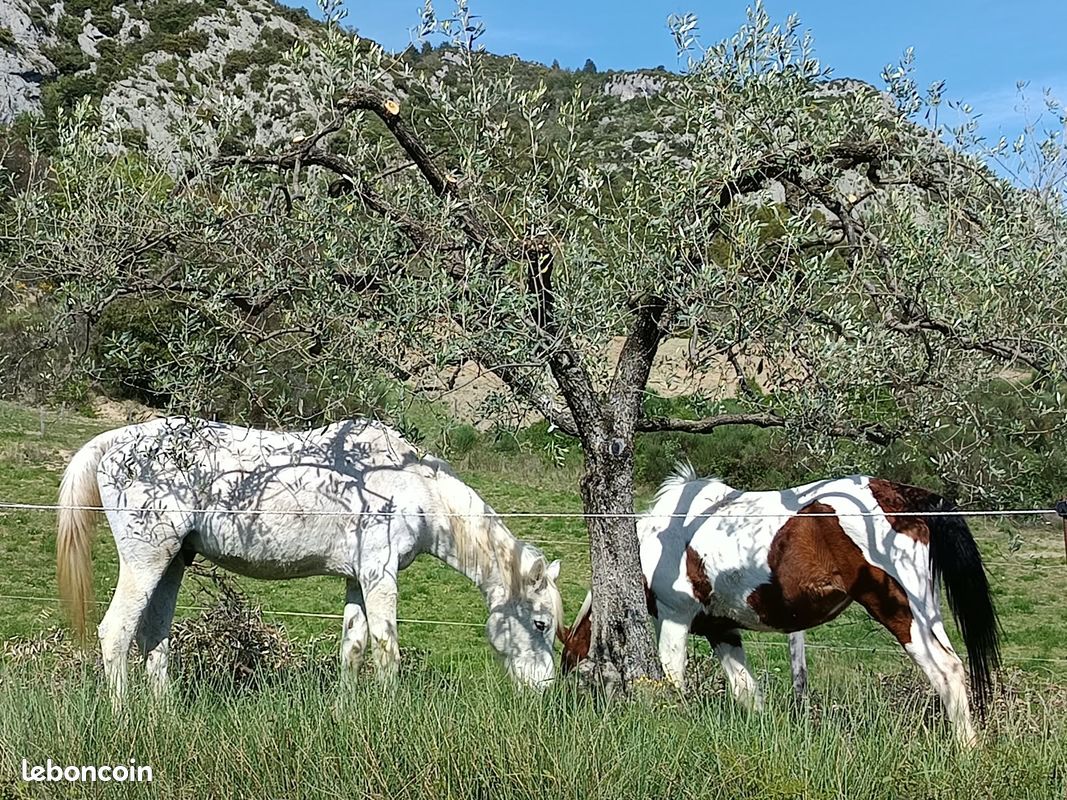 Achat terrain agricole · à Puyméras · 10 €