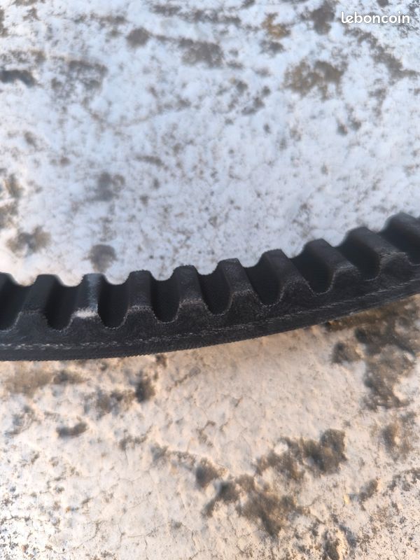 Courroie malossi runner 125/180 2t (image 3)