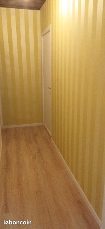 A louer maison Tonneins centre ville - Tonneins 47400 (image principale 1)