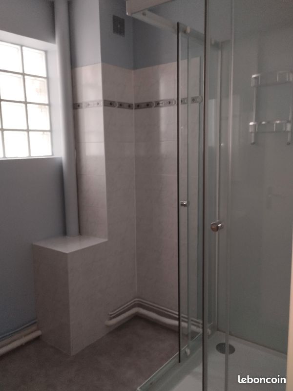 Appartement calme - Limoges 87000 Vanteaux-CHU-Mas Bouyol-Puy Rodas (image principale 4)