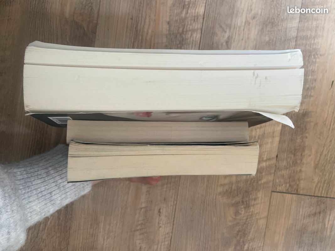 Lot de livres Lisa Gardner (image 6)