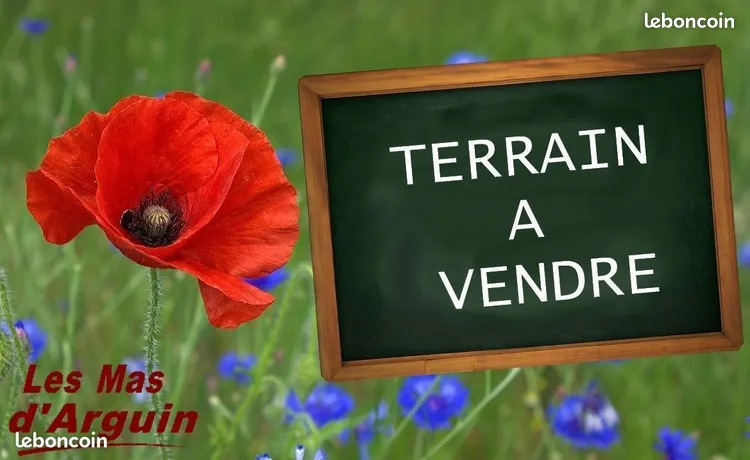 Annonce vente Terrain biscarrosse