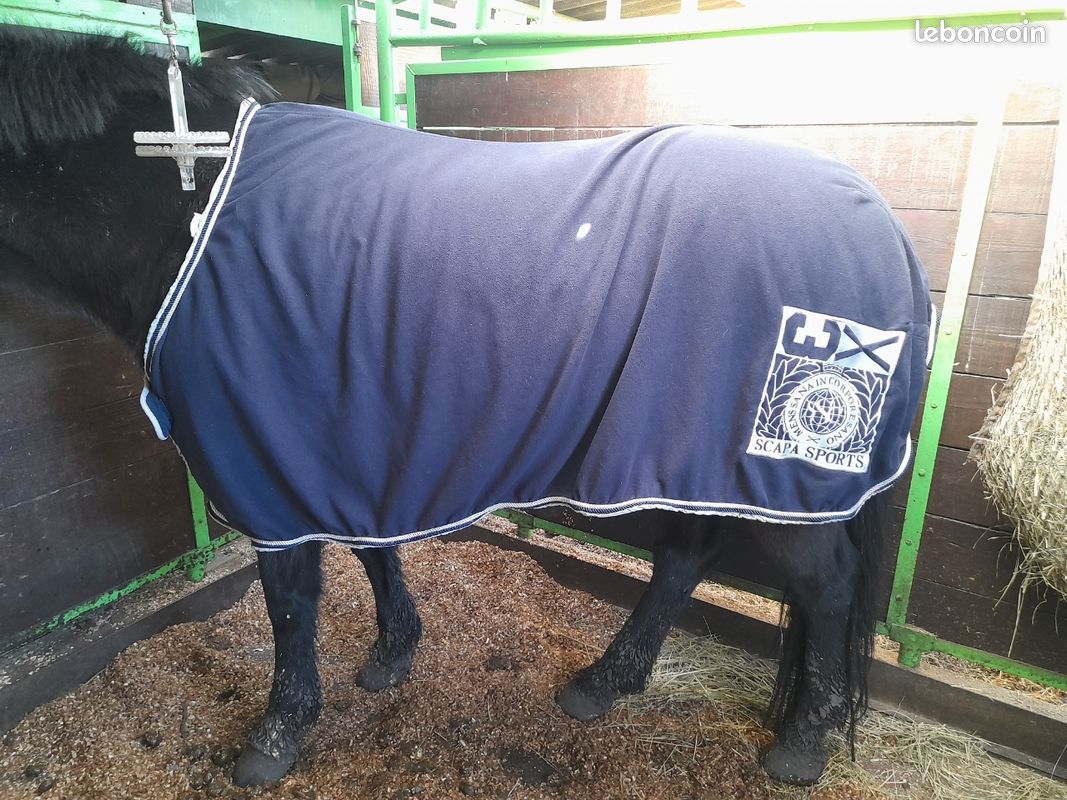 Museau De Pâturage Pour Cheval Avec Polaire - Taille X - Marque Shires Noir - Occasion Bon État
