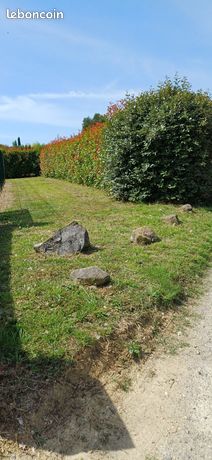 Terrain constructible