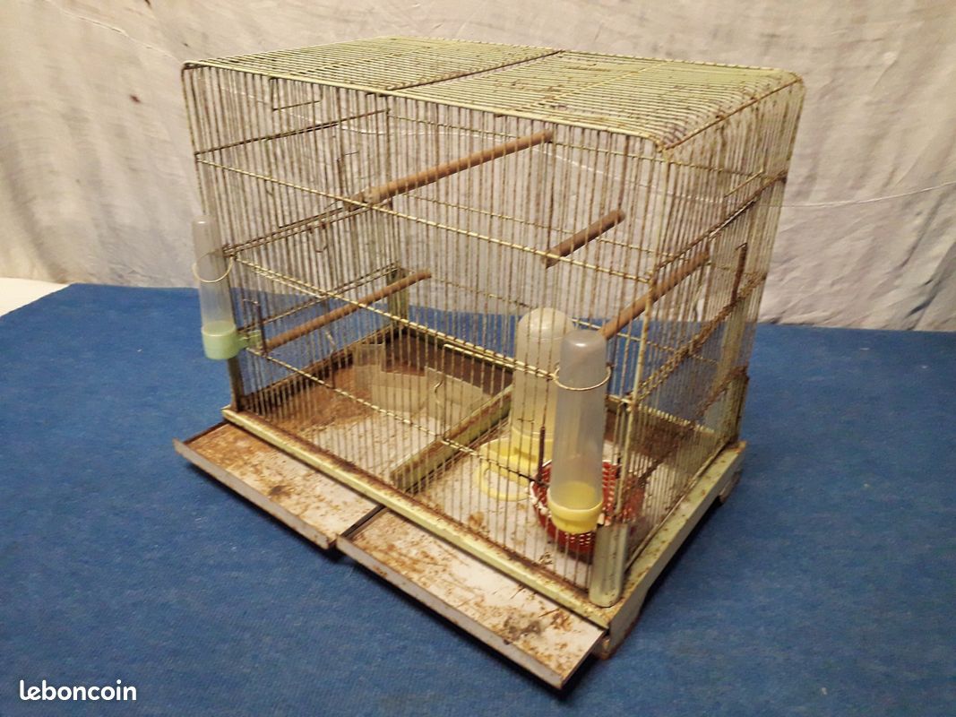 Cage à oiseaux dans son jus (image 7)