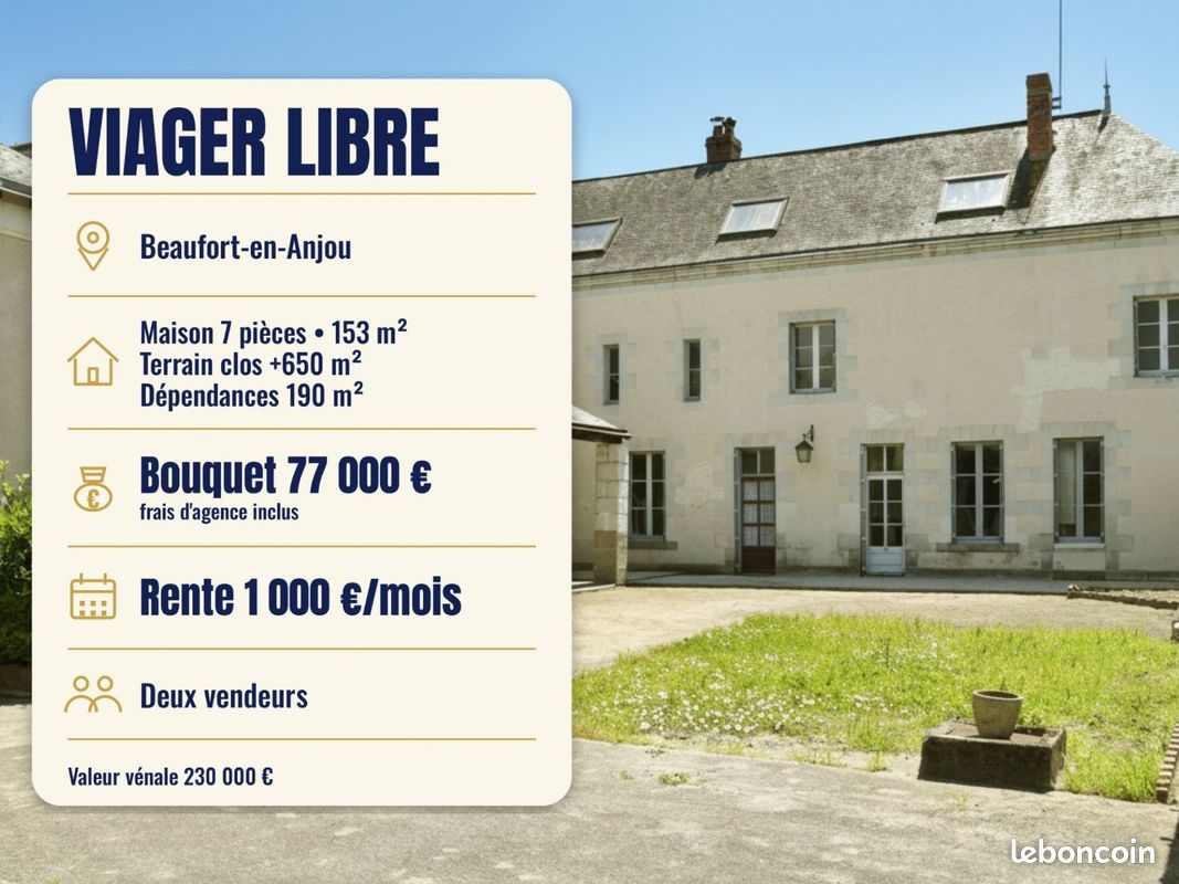 Maison de ville en viager 7 pièces 153 m² (image 1)