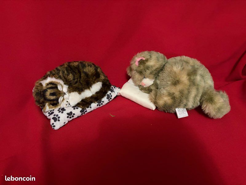 Chats (image 1)
