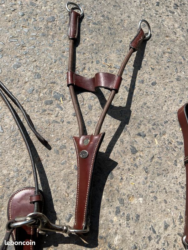 Martingale taille cheval (image 1)