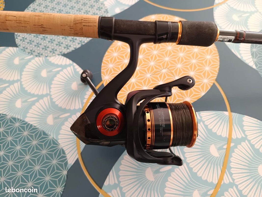 Canne barbeau team france teos barbel 330 3.30m 1.75lbs | Pacific Pêche