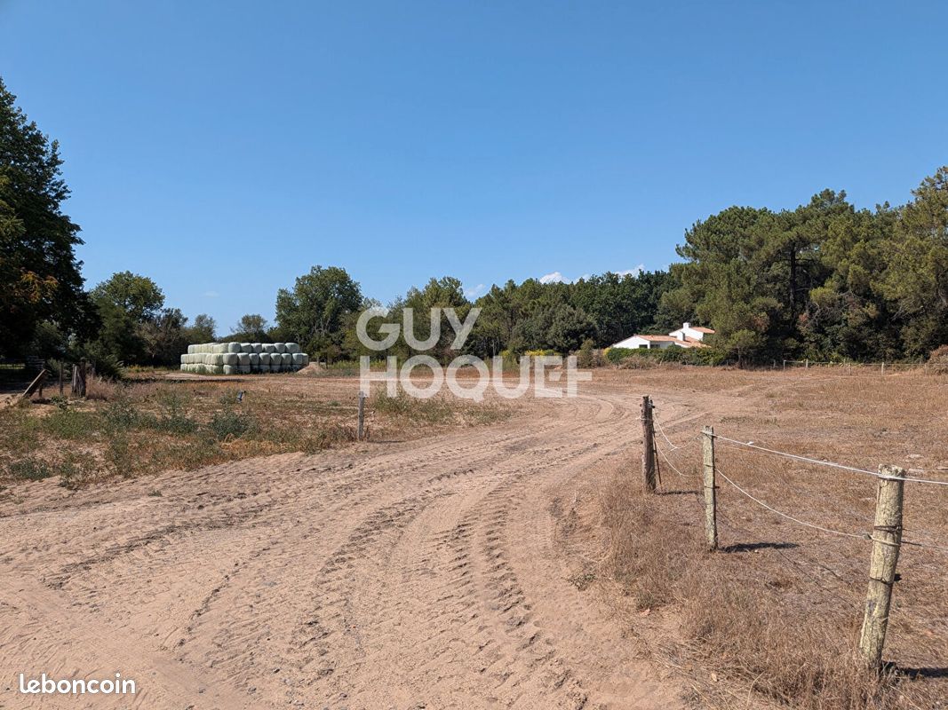 Terrain 1000 m² · à Saint-Hilaire-de-Riez · 1 000 m² · 70 400 €