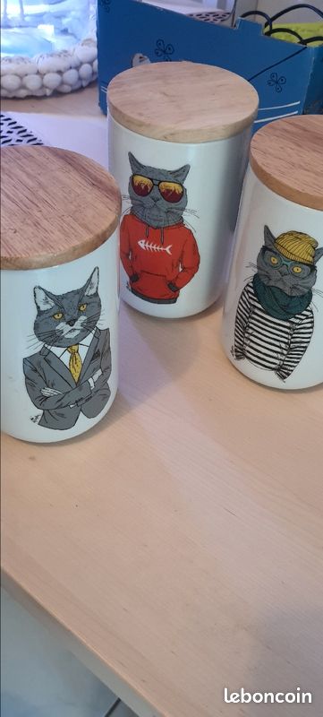 3 bocaux chats (image 3)