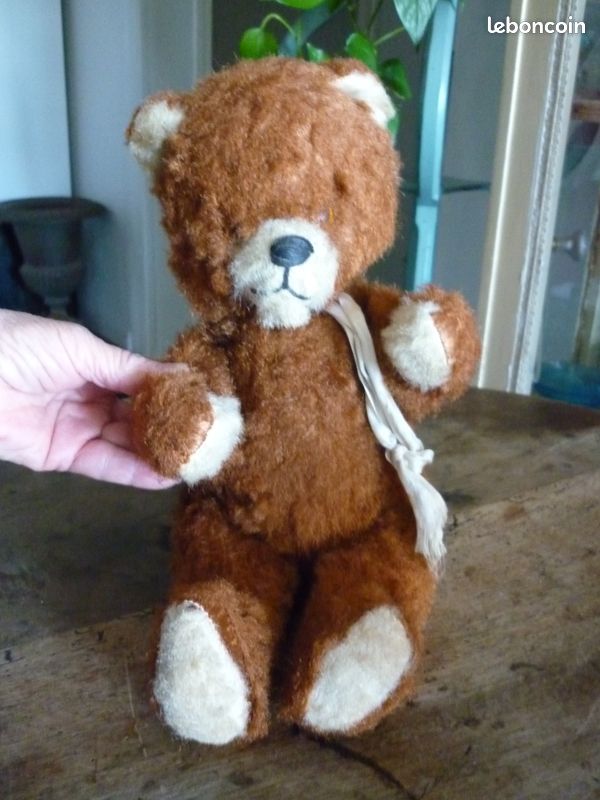 Bel ours ancien 1900 collection - Collection