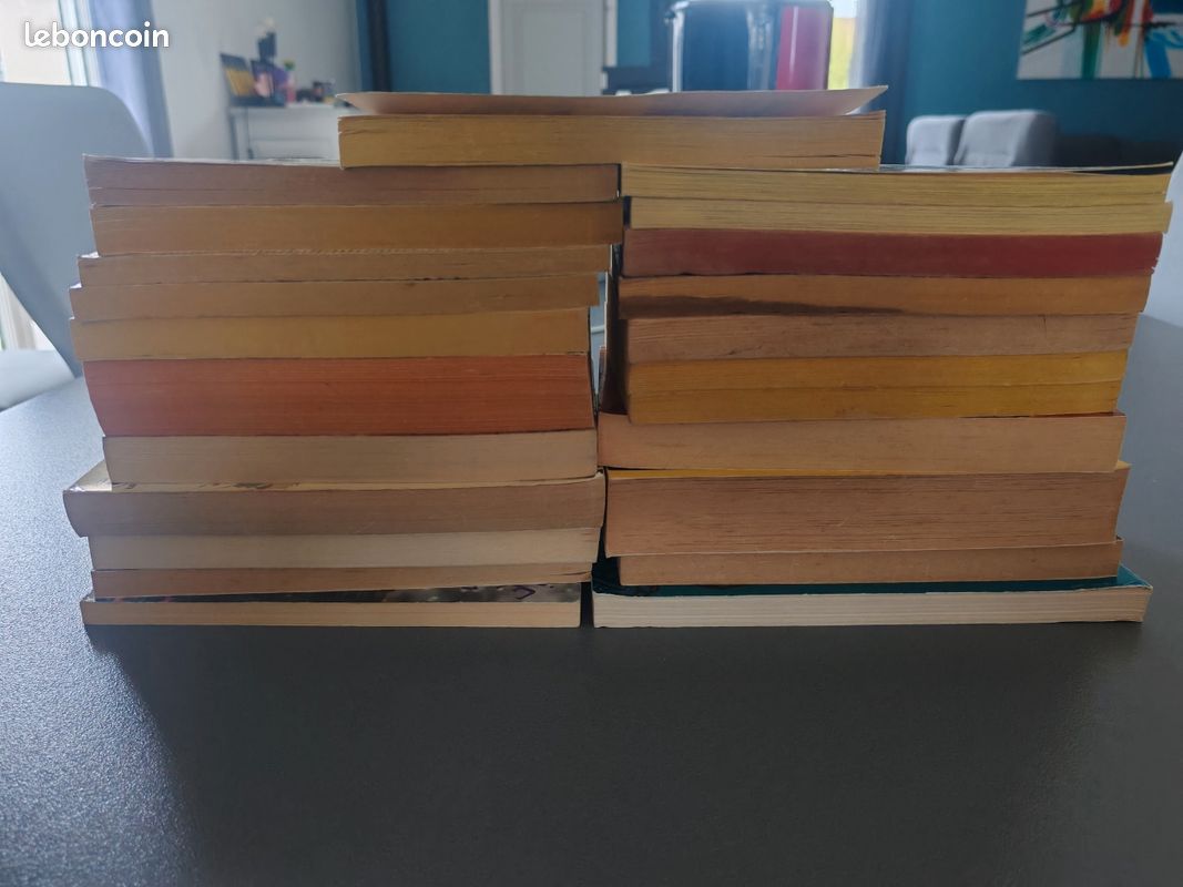 Lot livres de poche (image 6)