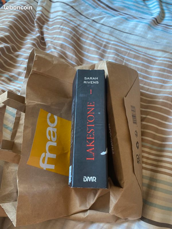 Livre Lakestone t1 de Sarah Rivens (image 3)
